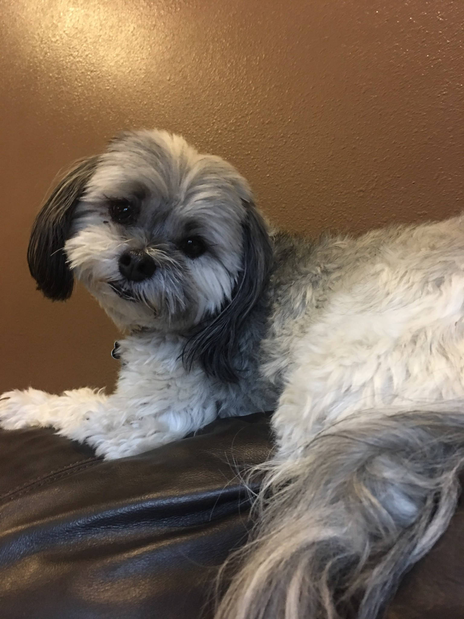 Dakota Ocean Charters