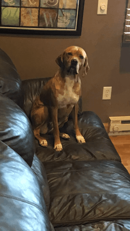 Dakota Ocean Charters