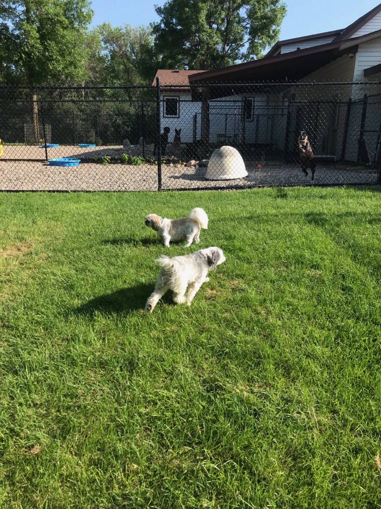 Dakota Ocean Charters