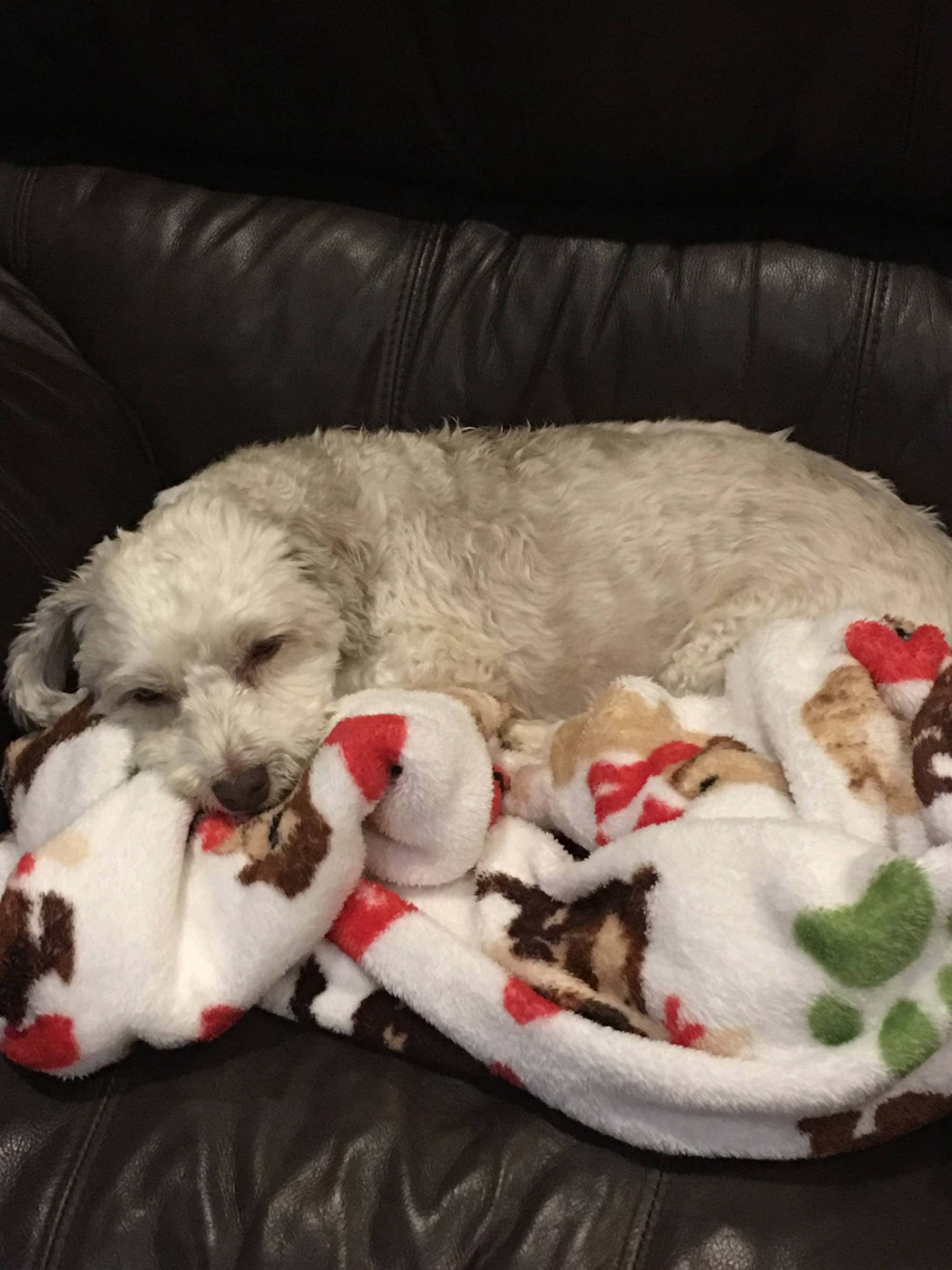 Dakota Ocean Charters