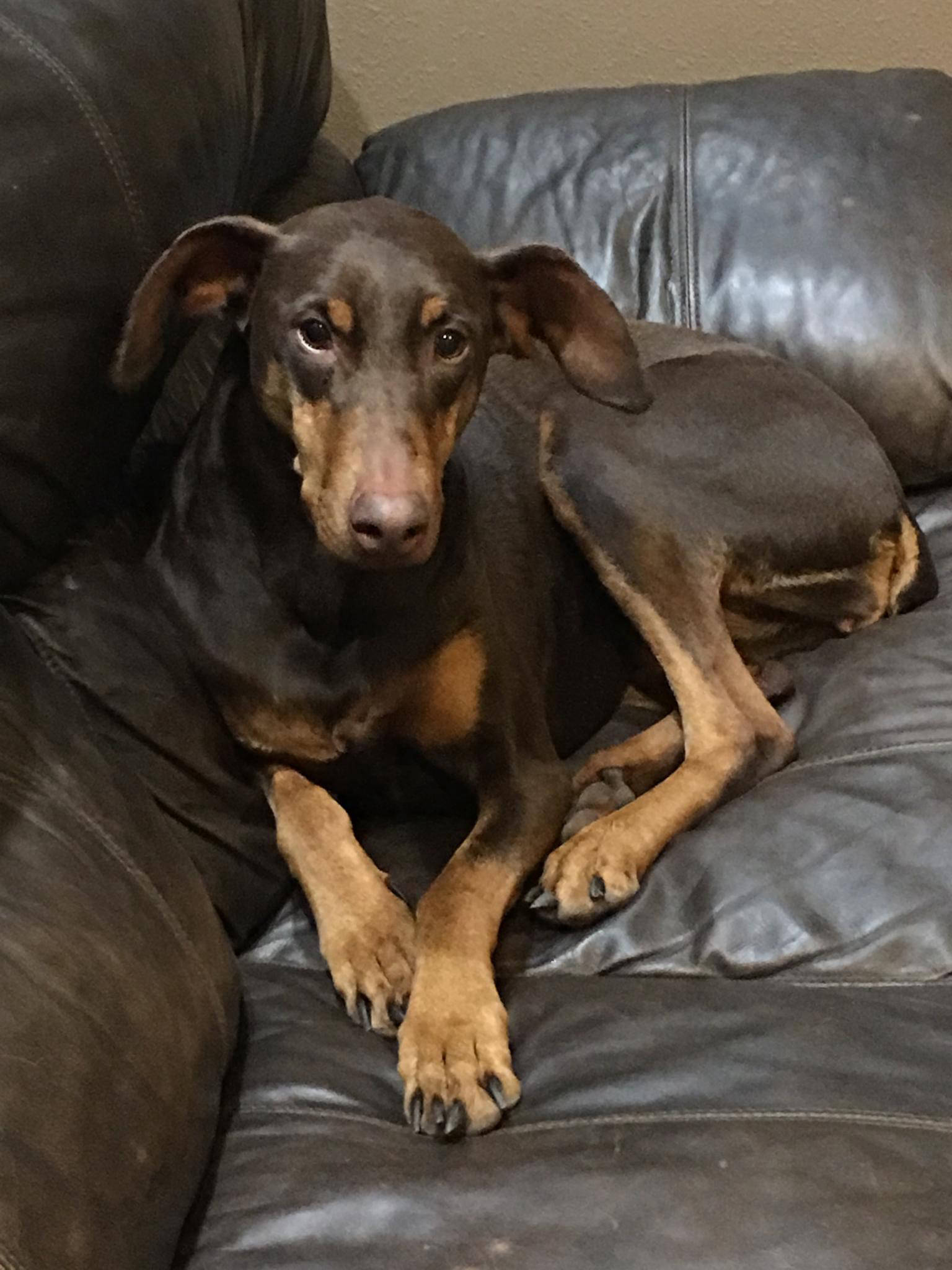 Dakota Ocean Charters