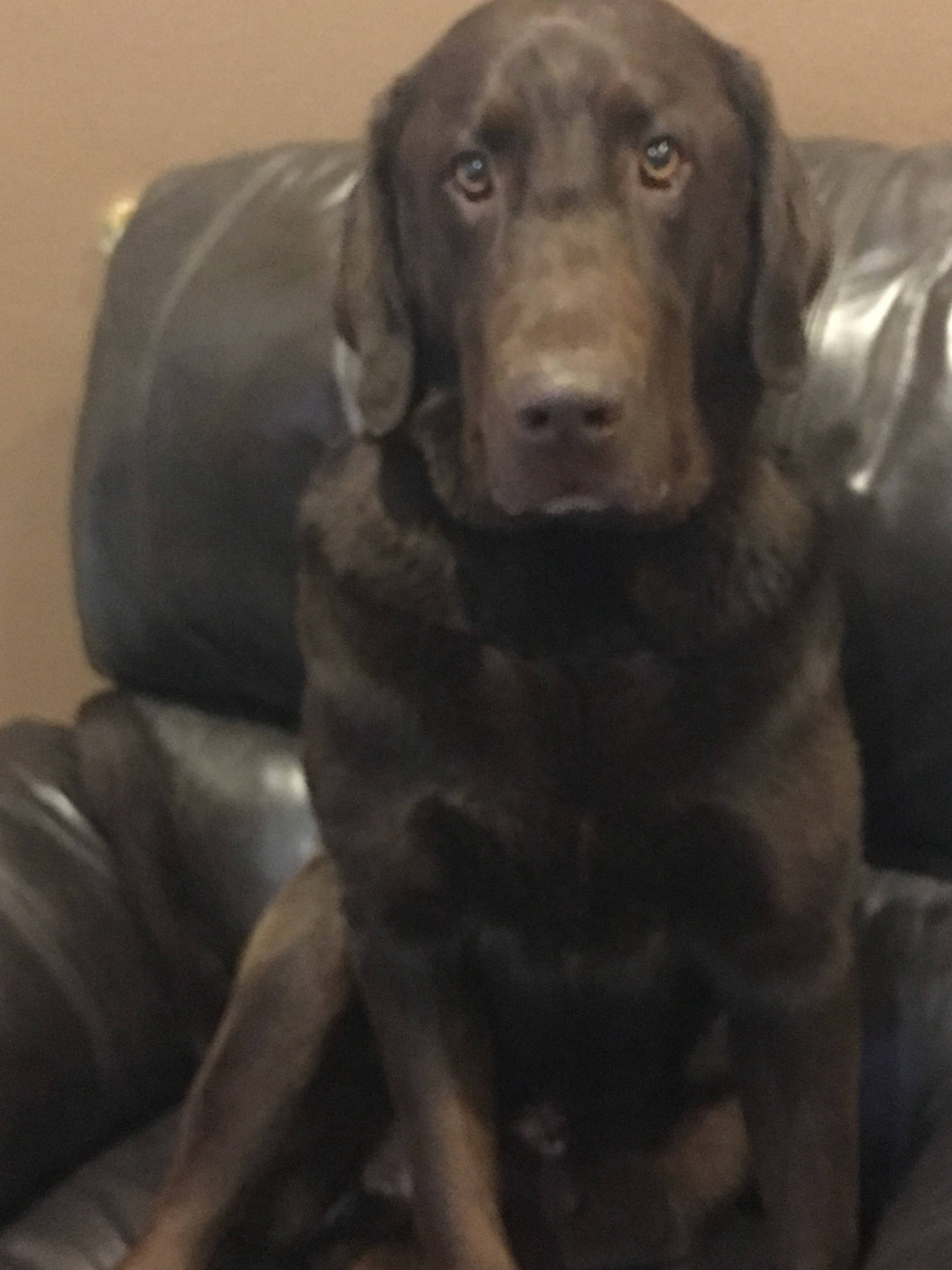 Dakota Ocean Charters