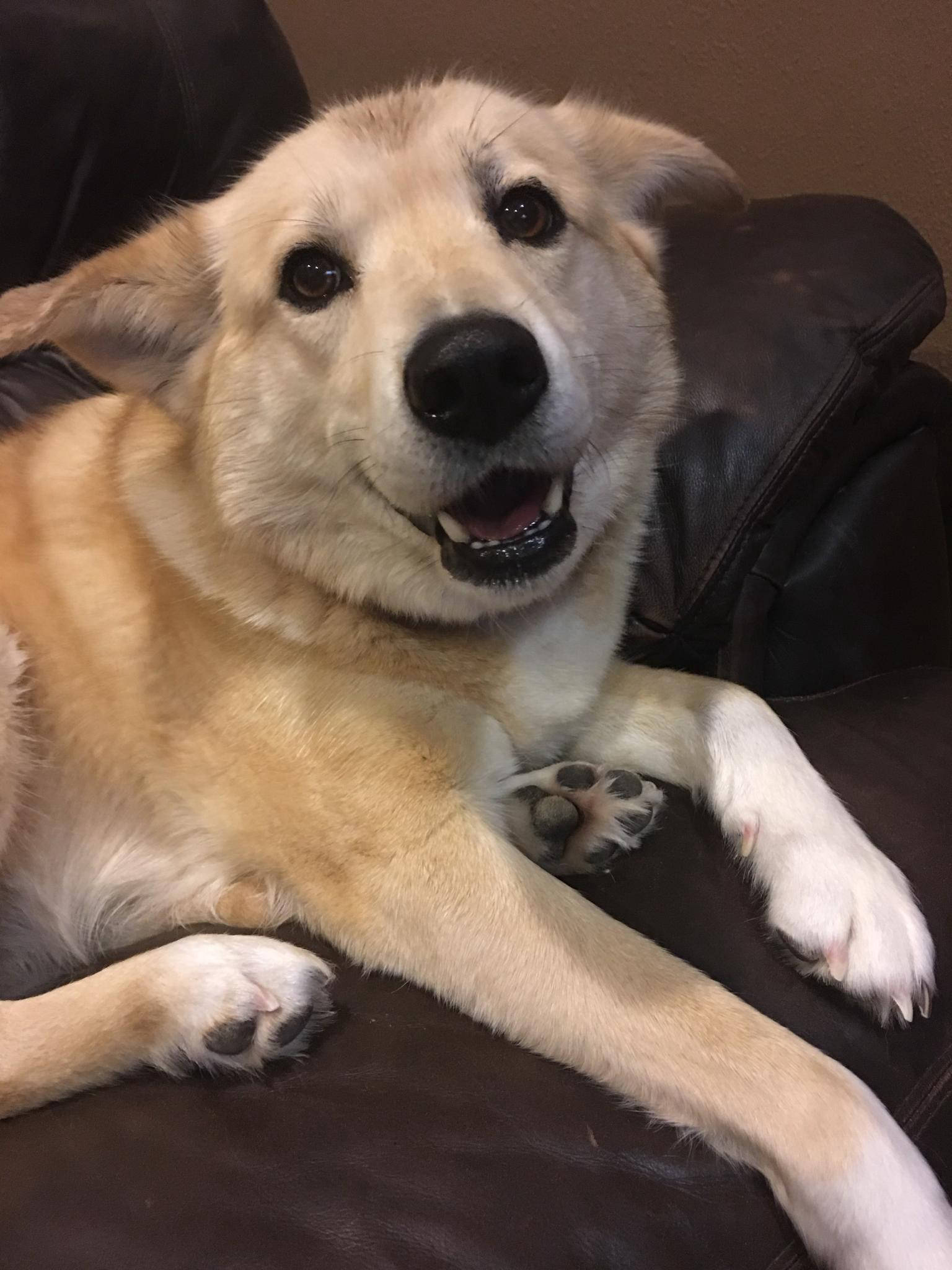 Dakota Ocean Charters