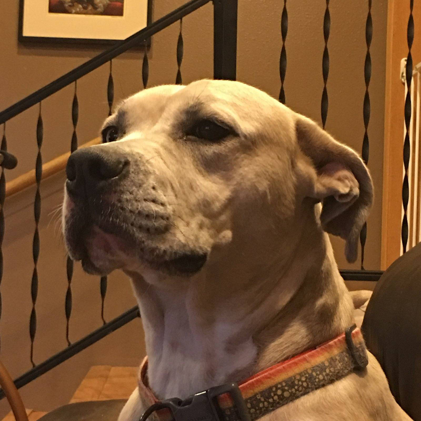 Dakota Ocean Charters