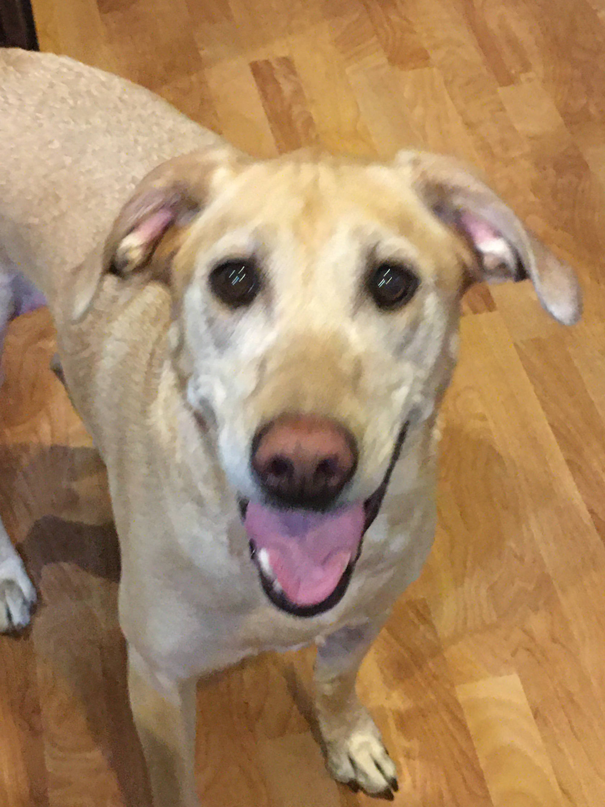 Dakota Ocean Charters