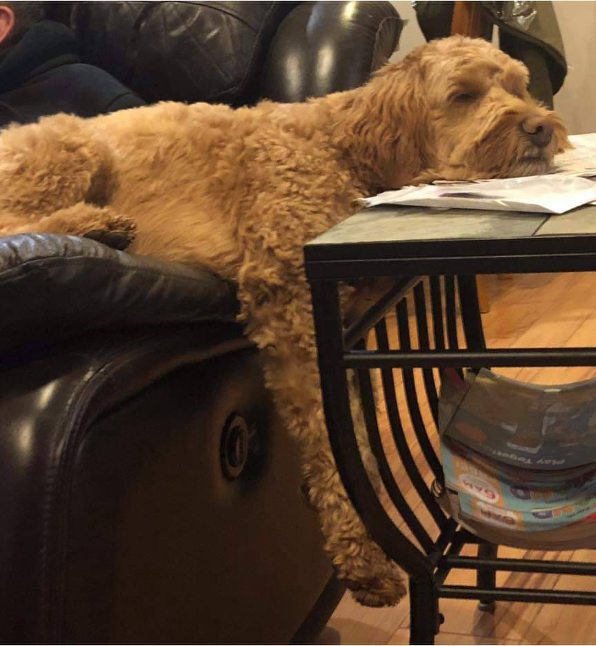 Dakota Ocean Charters