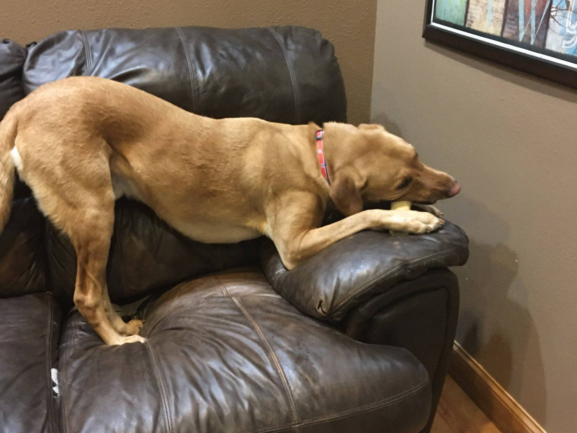 Dakota Ocean Charters