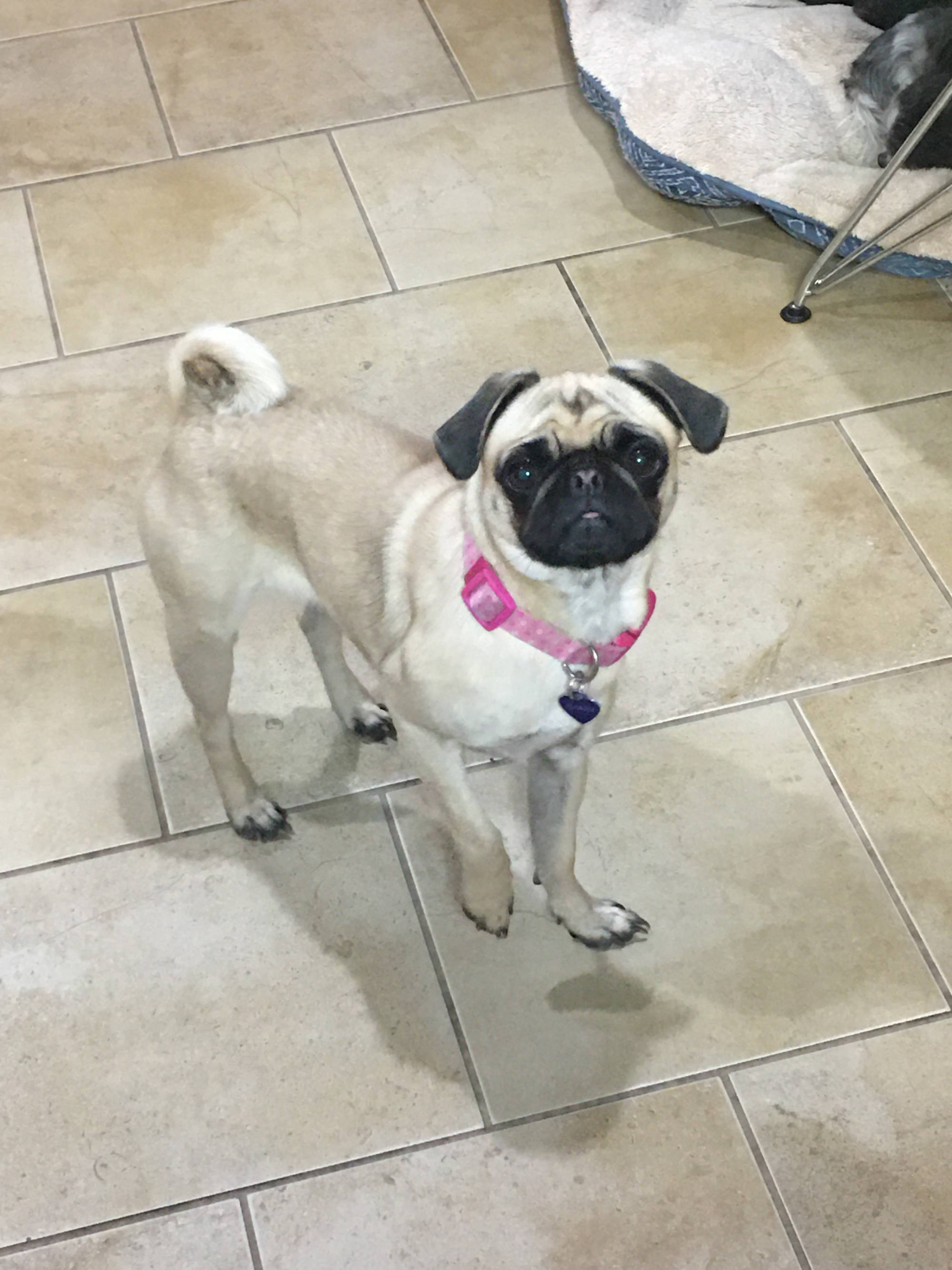 Dakota Ocean Charters