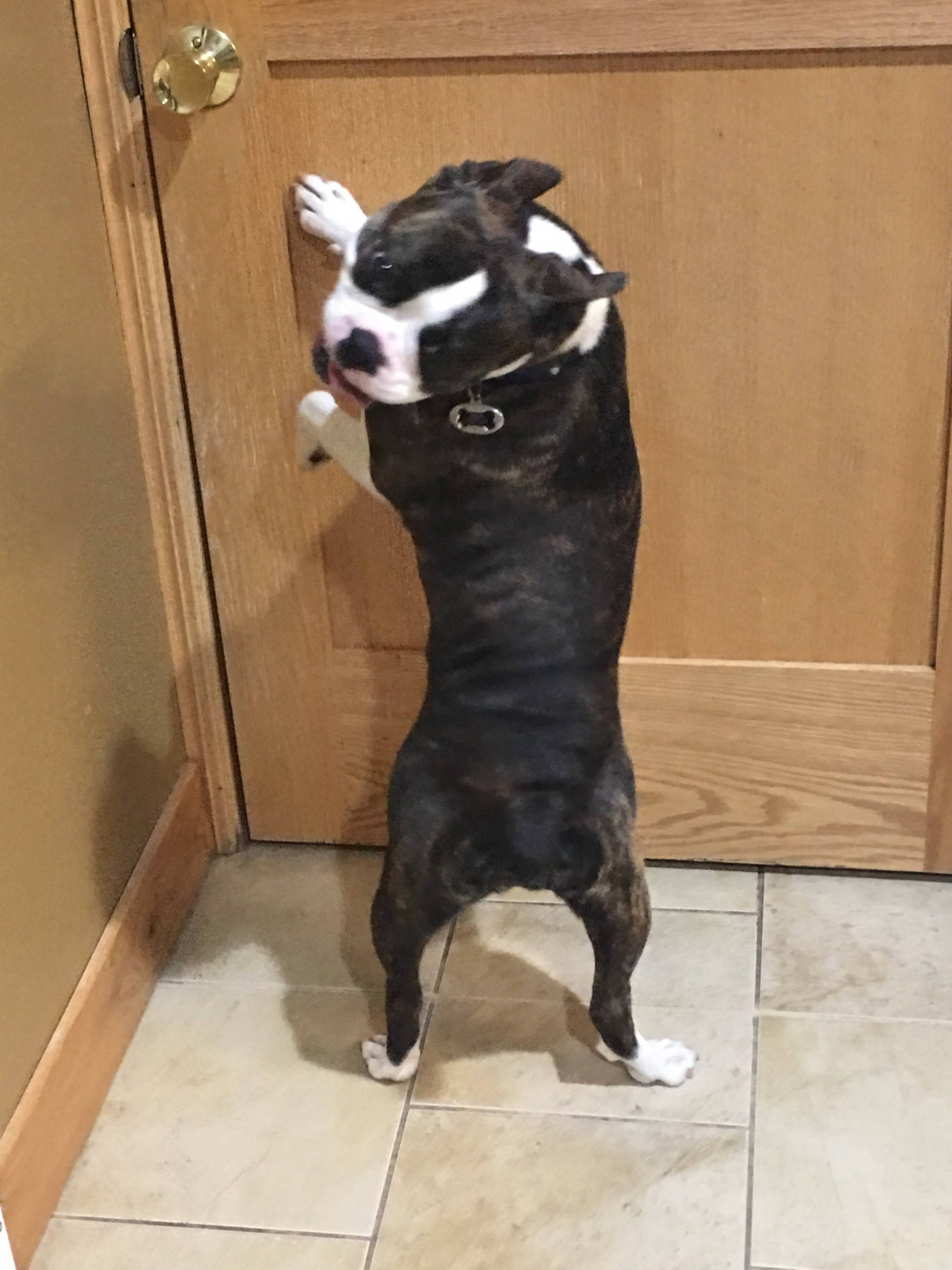 Dakota Ocean Charters