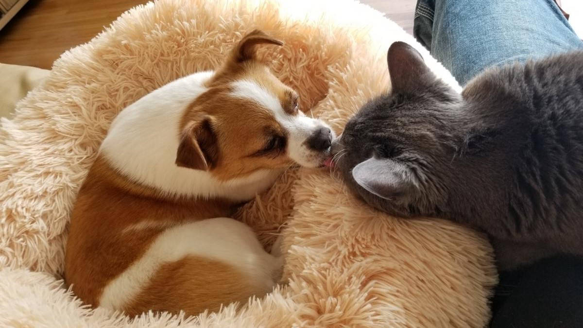 Dakota Ocean Charters