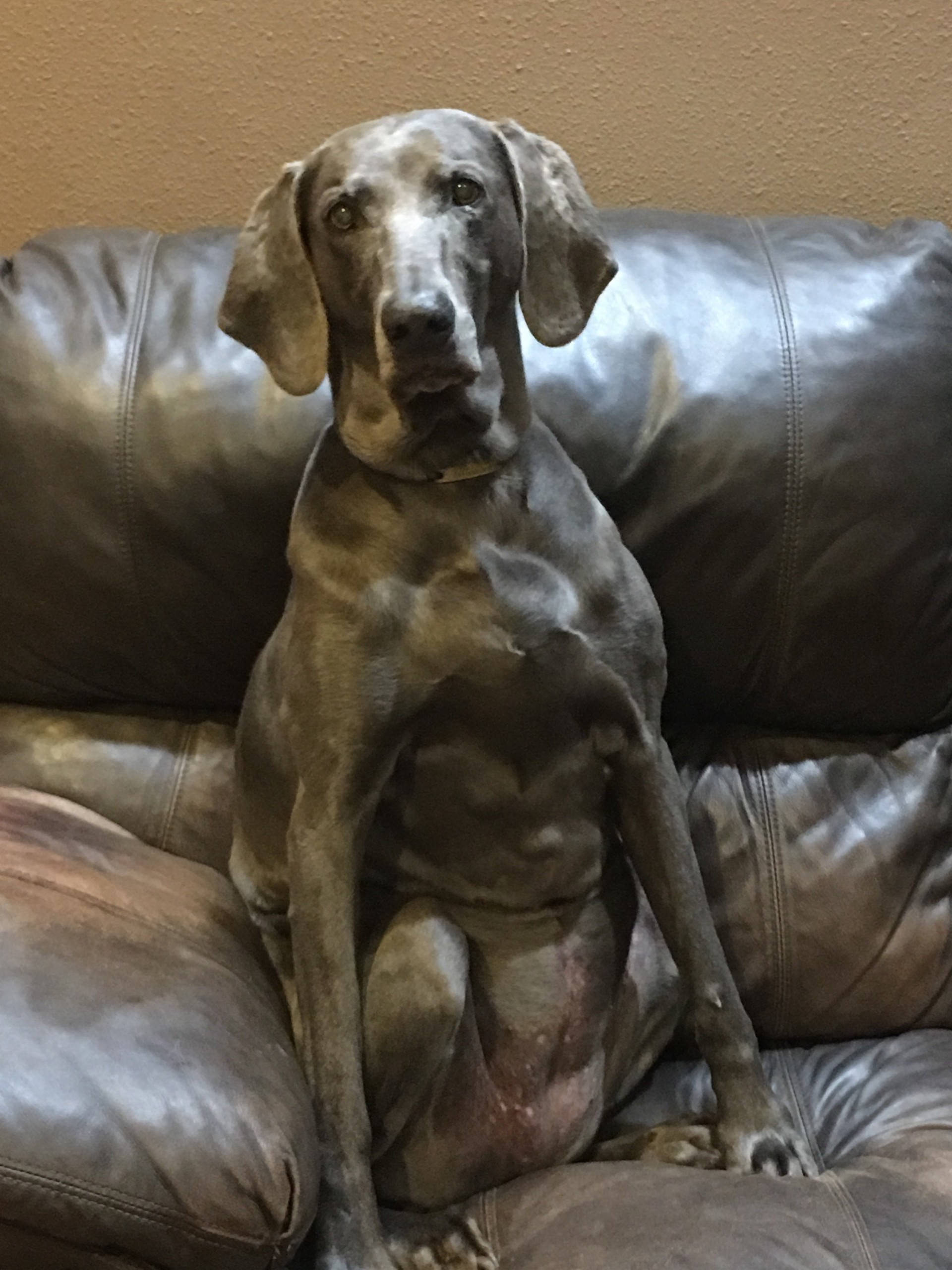 Dakota Ocean Charters