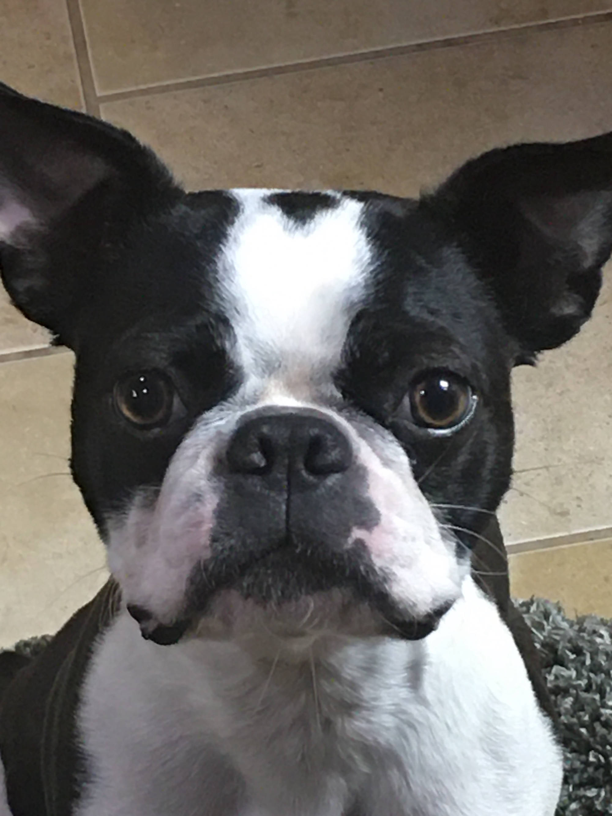 Dakota Ocean Charters