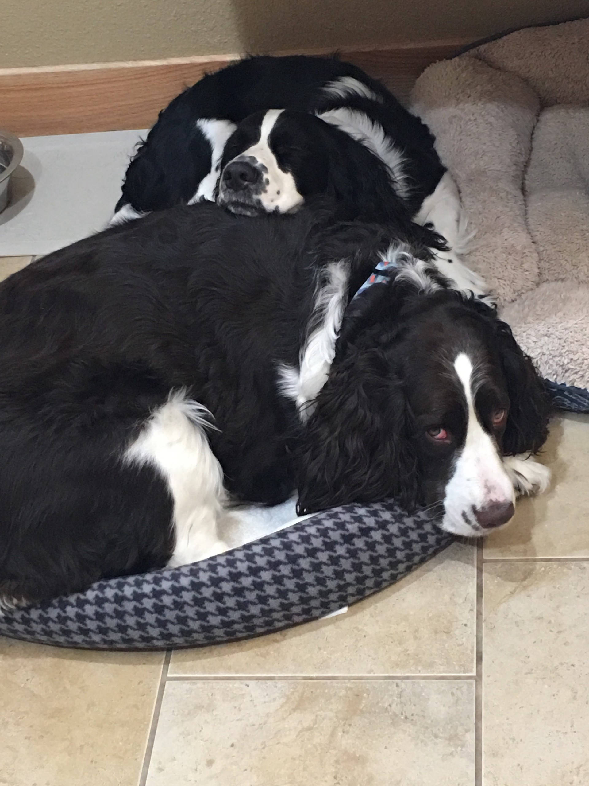 Dakota Ocean Charters