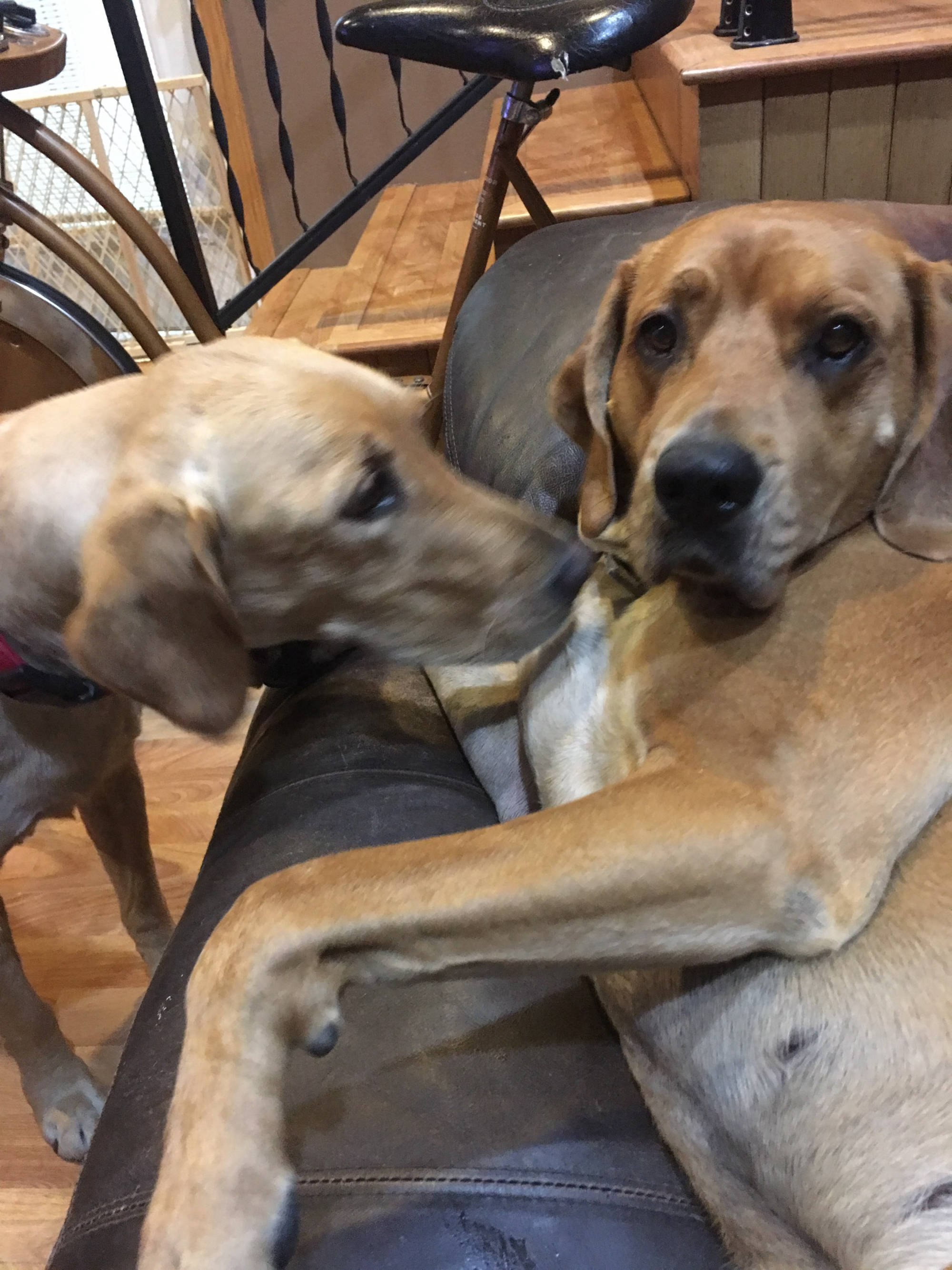 Dakota Ocean Charters