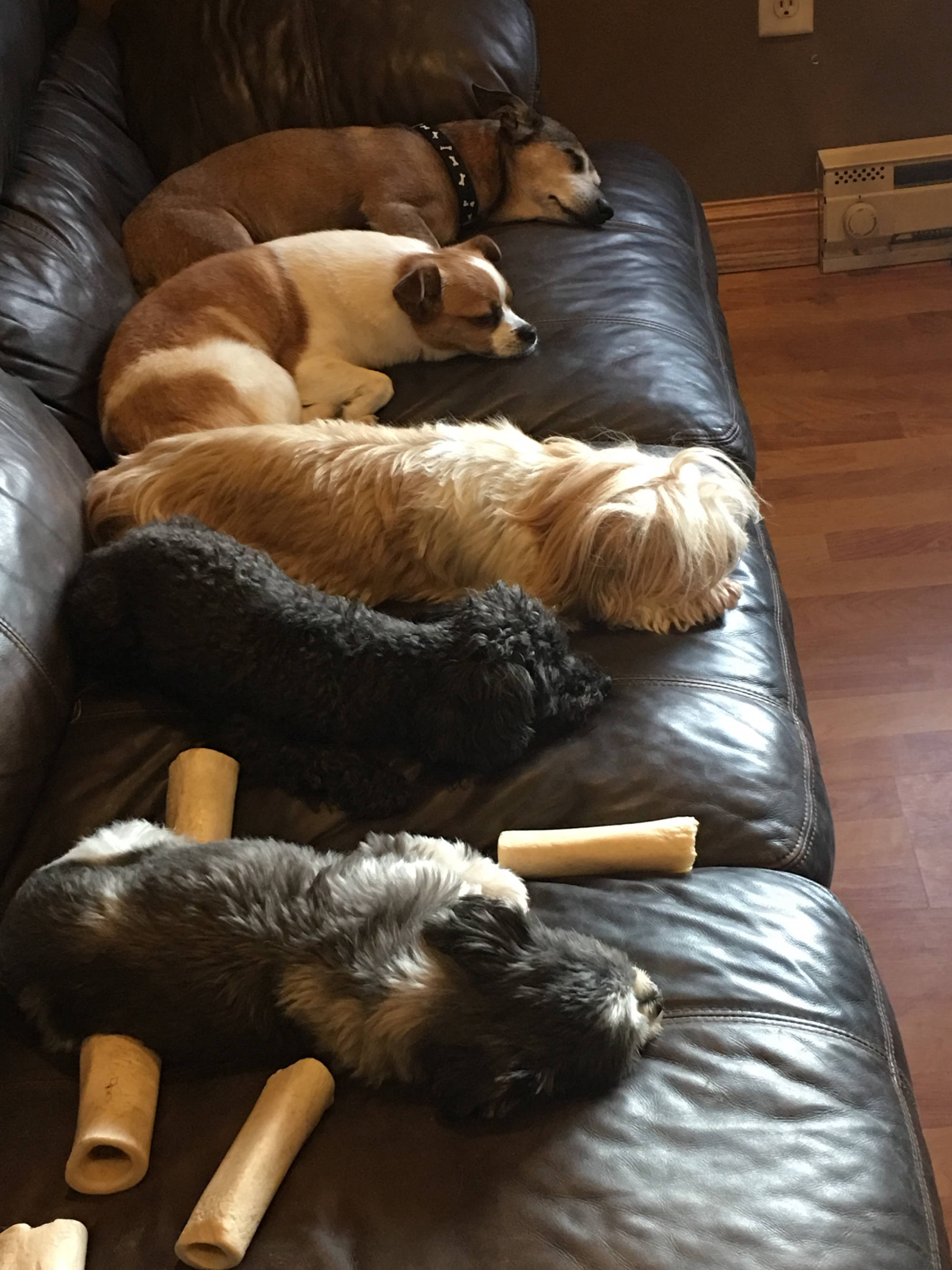 Dakota Ocean Charters