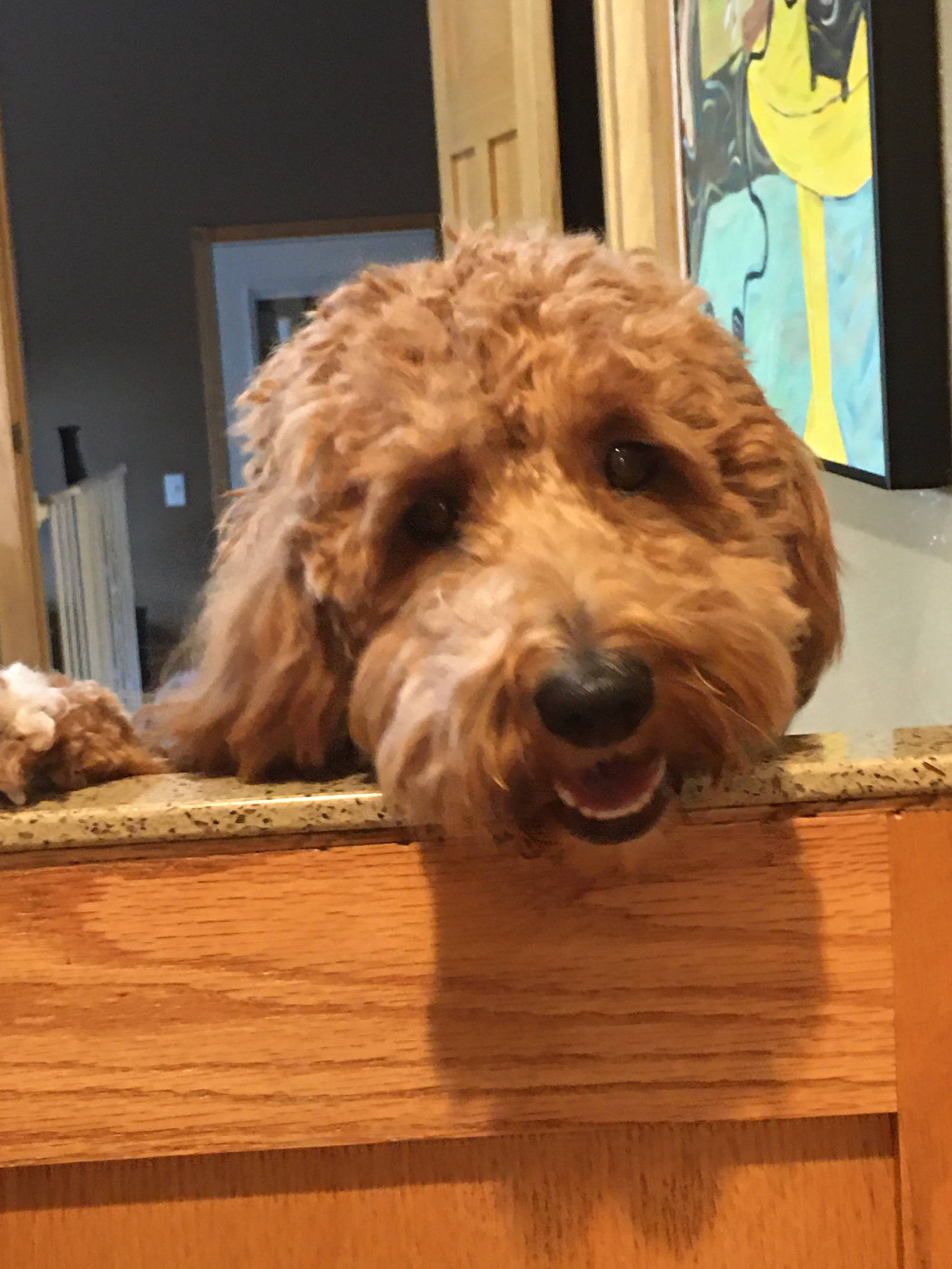 Dakota Ocean Charters