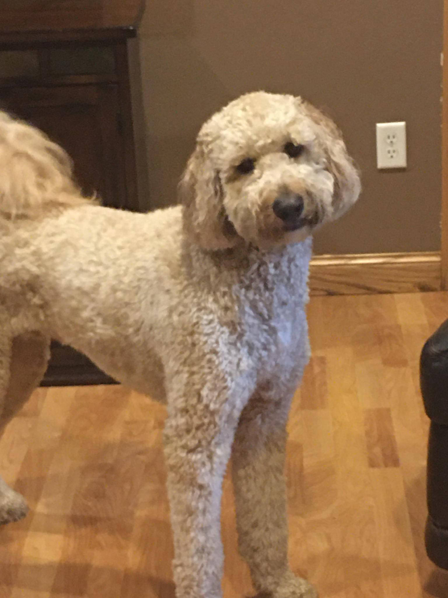 Dakota Ocean Charters