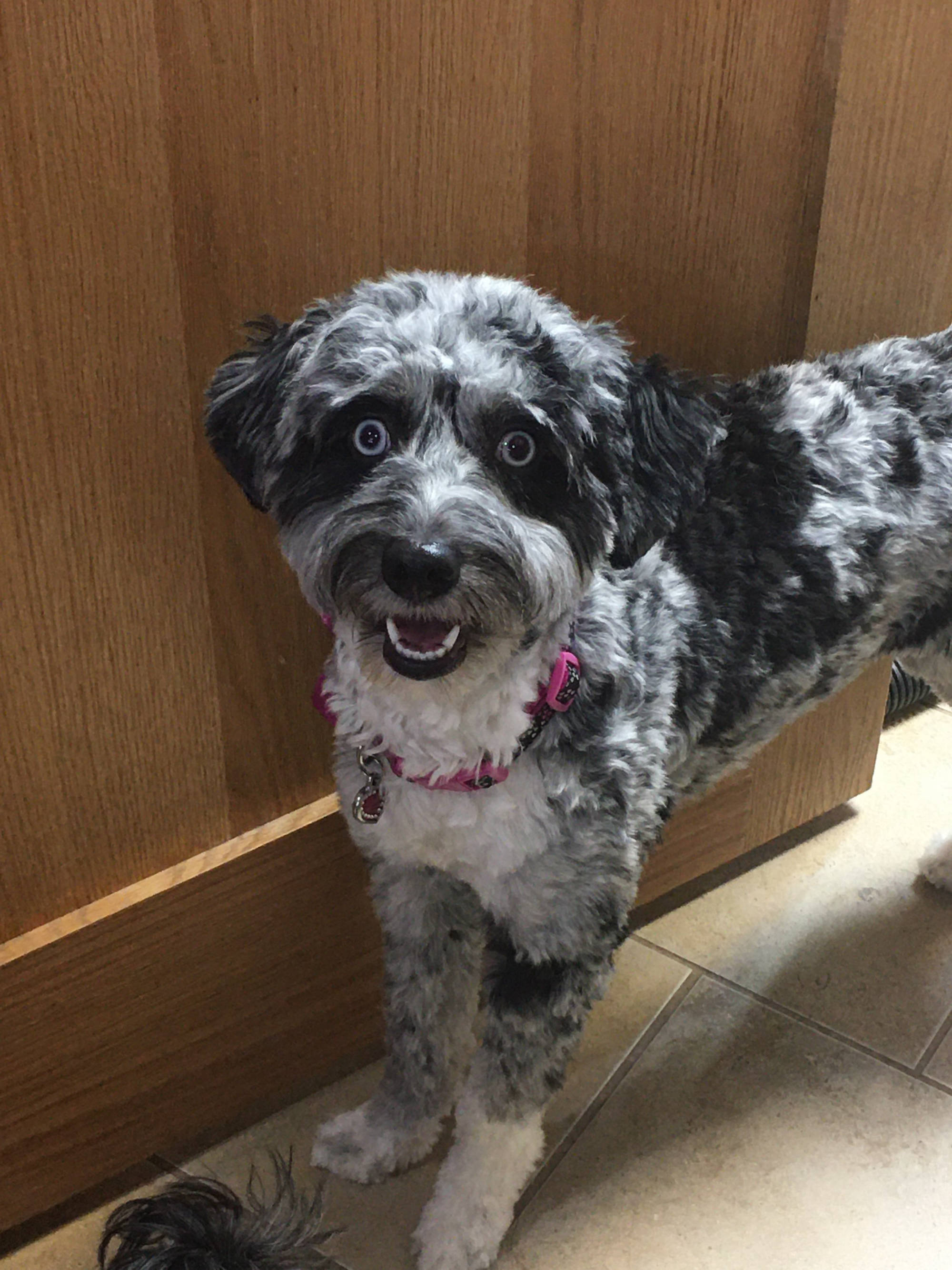 Dakota Ocean Charters