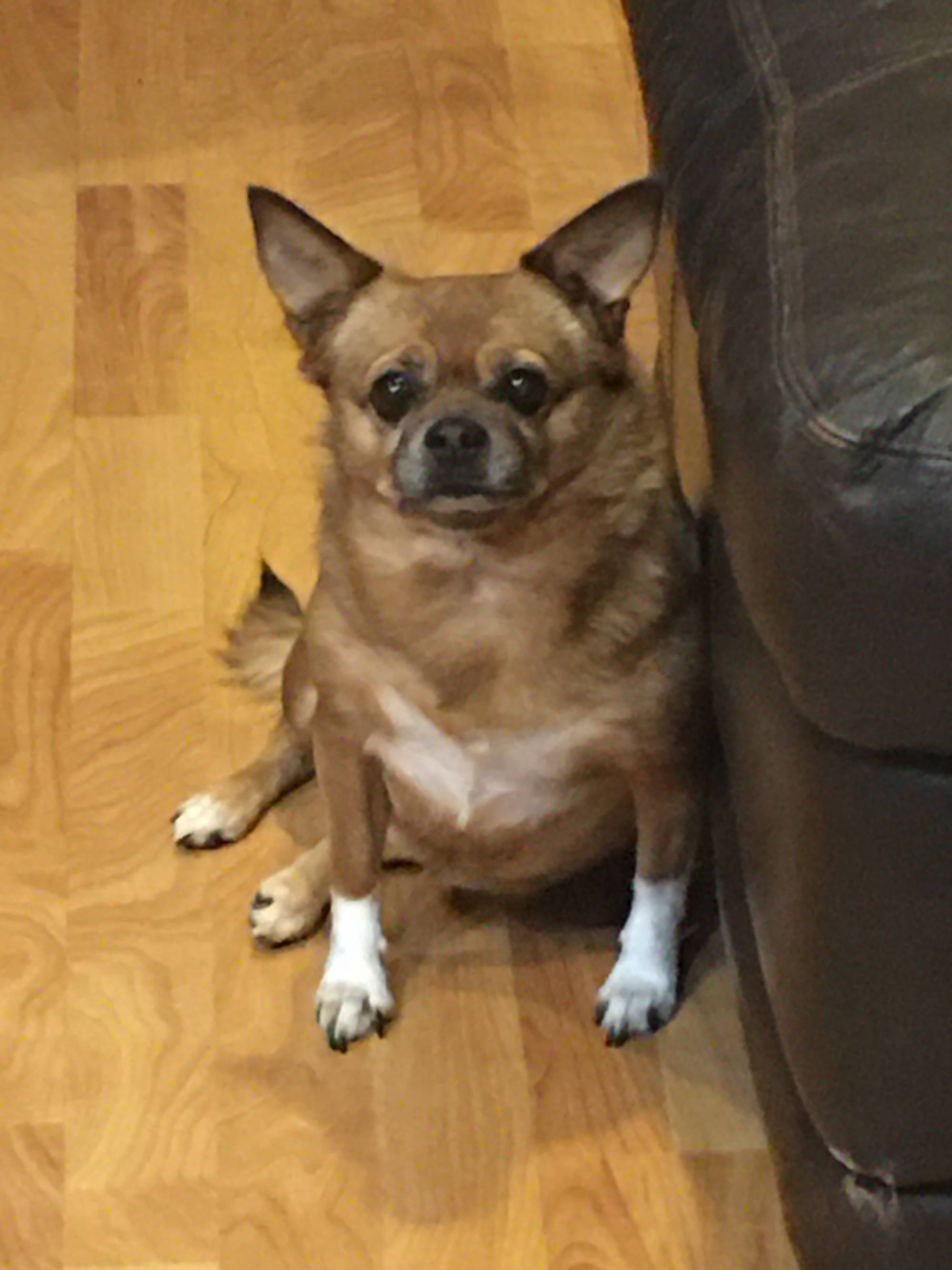 Dakota Ocean Charters