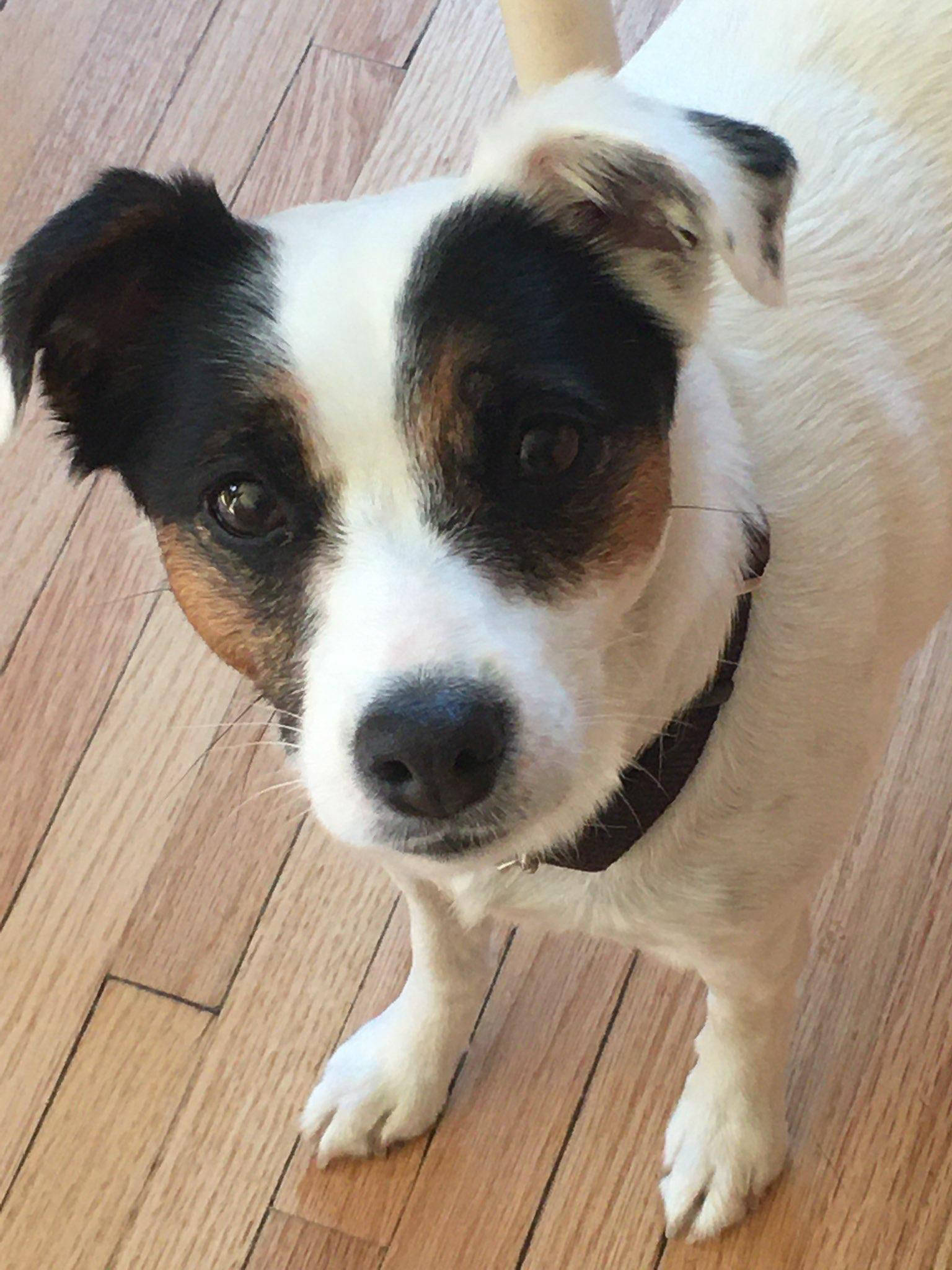 Dakota Ocean Charters