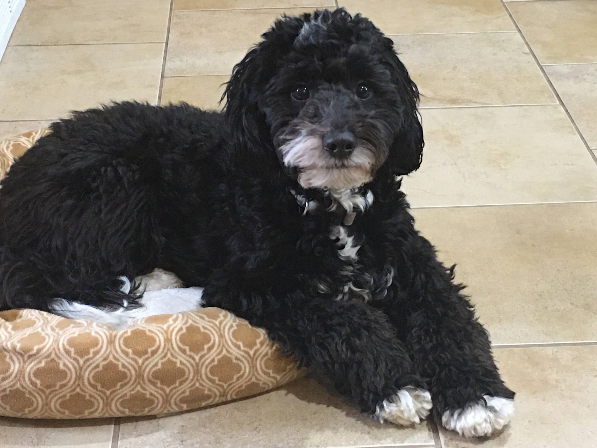 Dakota Ocean Charters