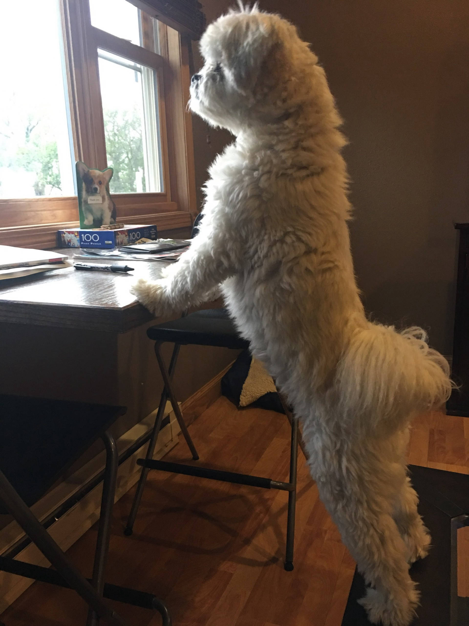 Dakota Ocean Charters