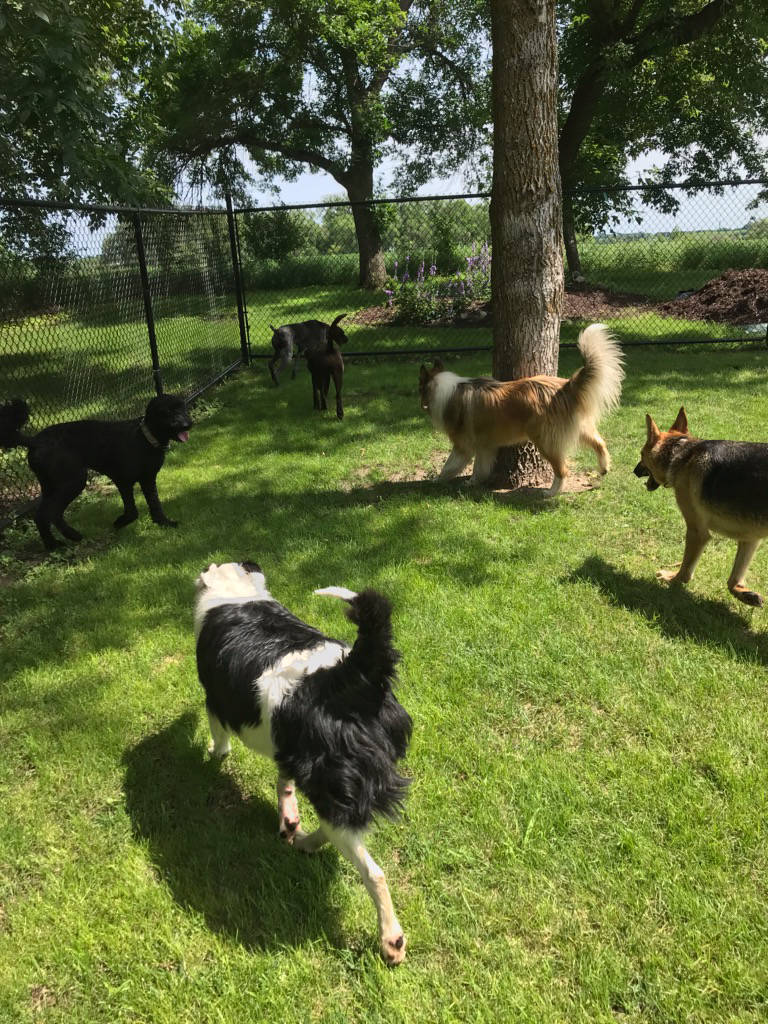 Dakota Ocean Charters