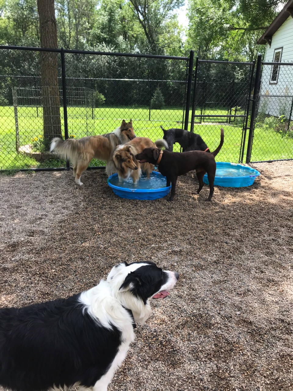 Dakota Ocean Charters