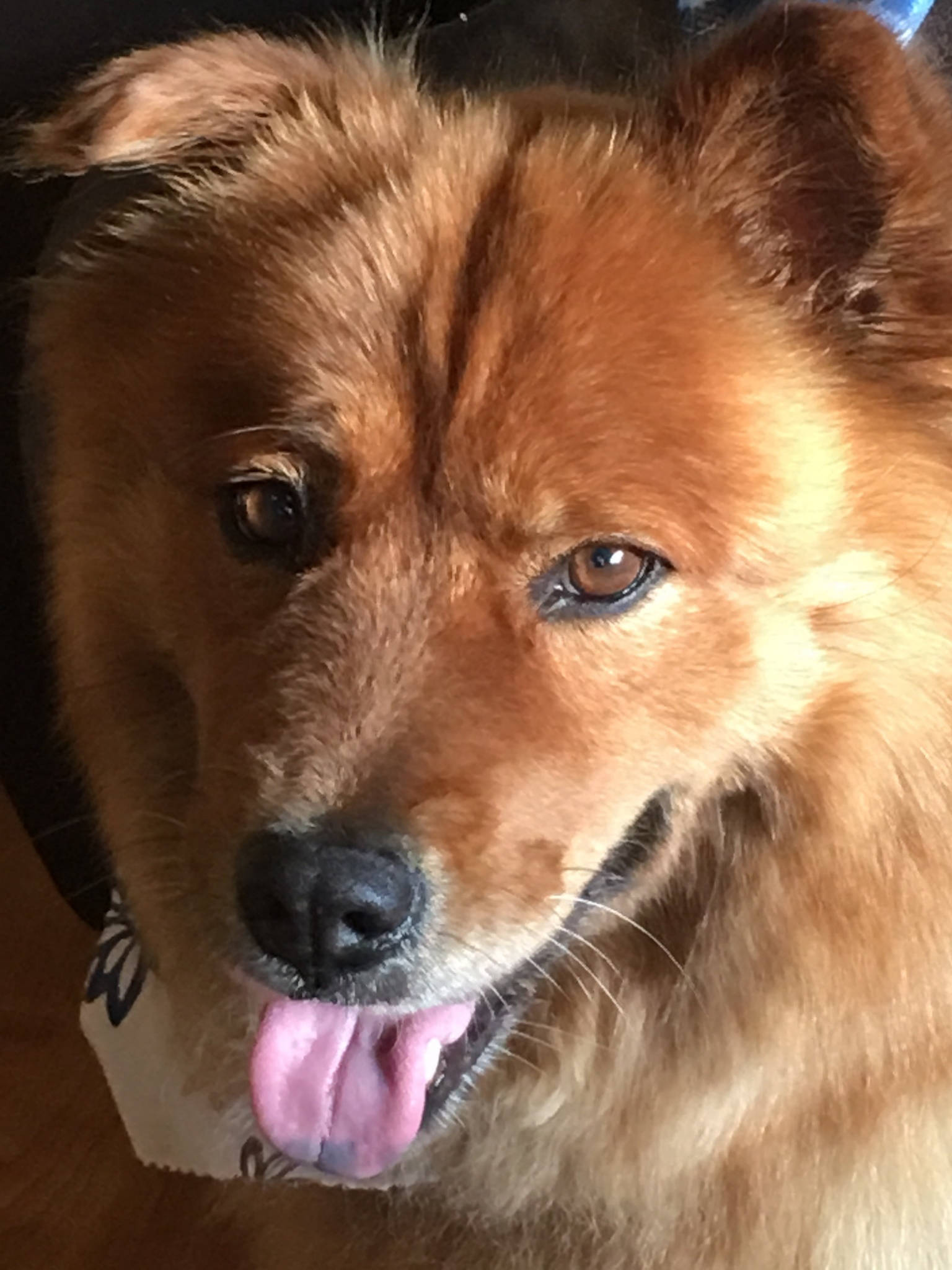 Dakota Ocean Charters