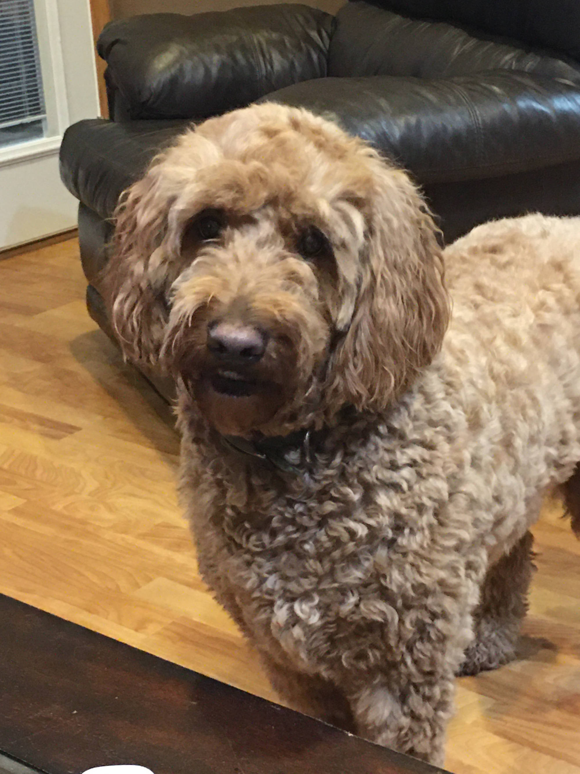 Dakota Ocean Charters