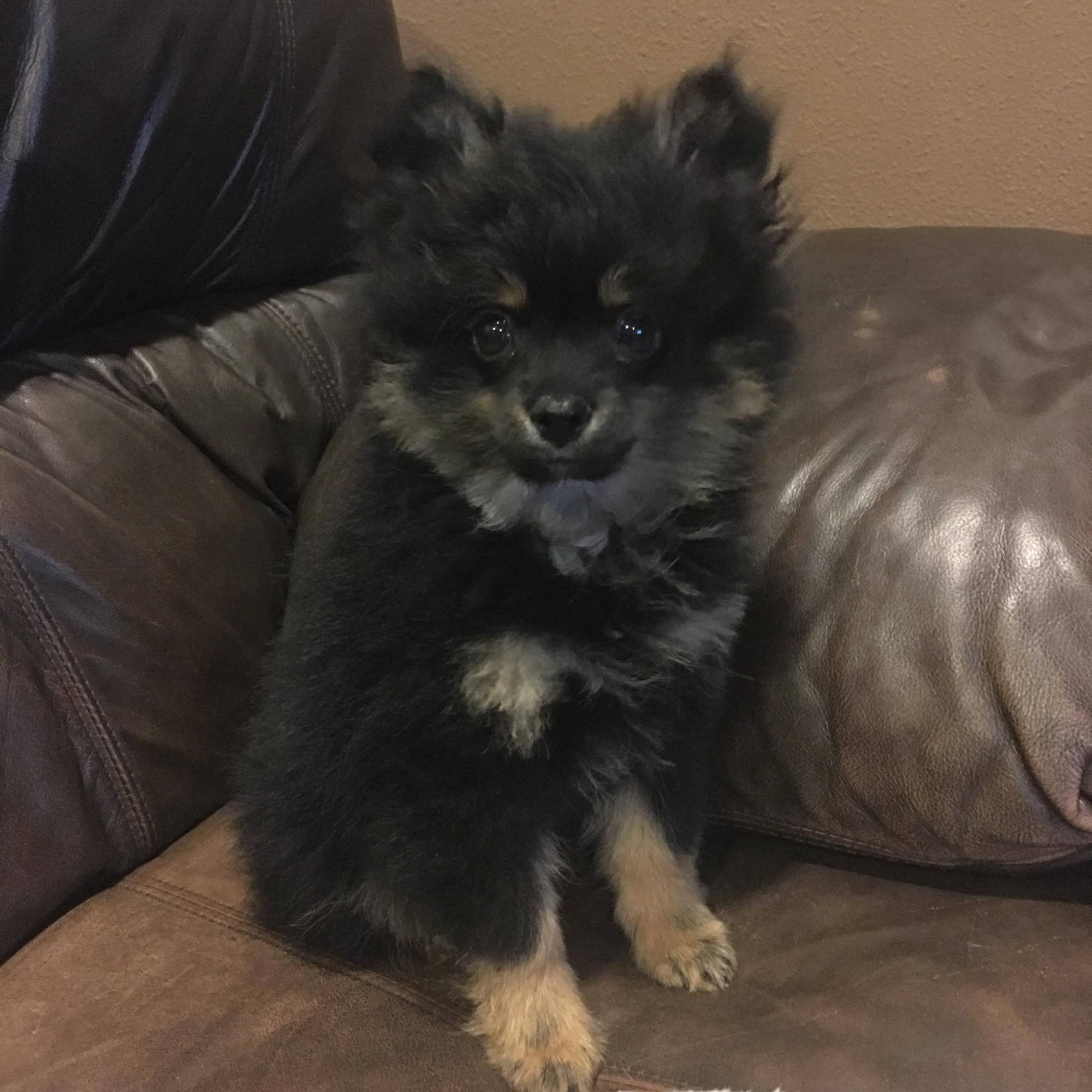 Dakota Ocean Charters