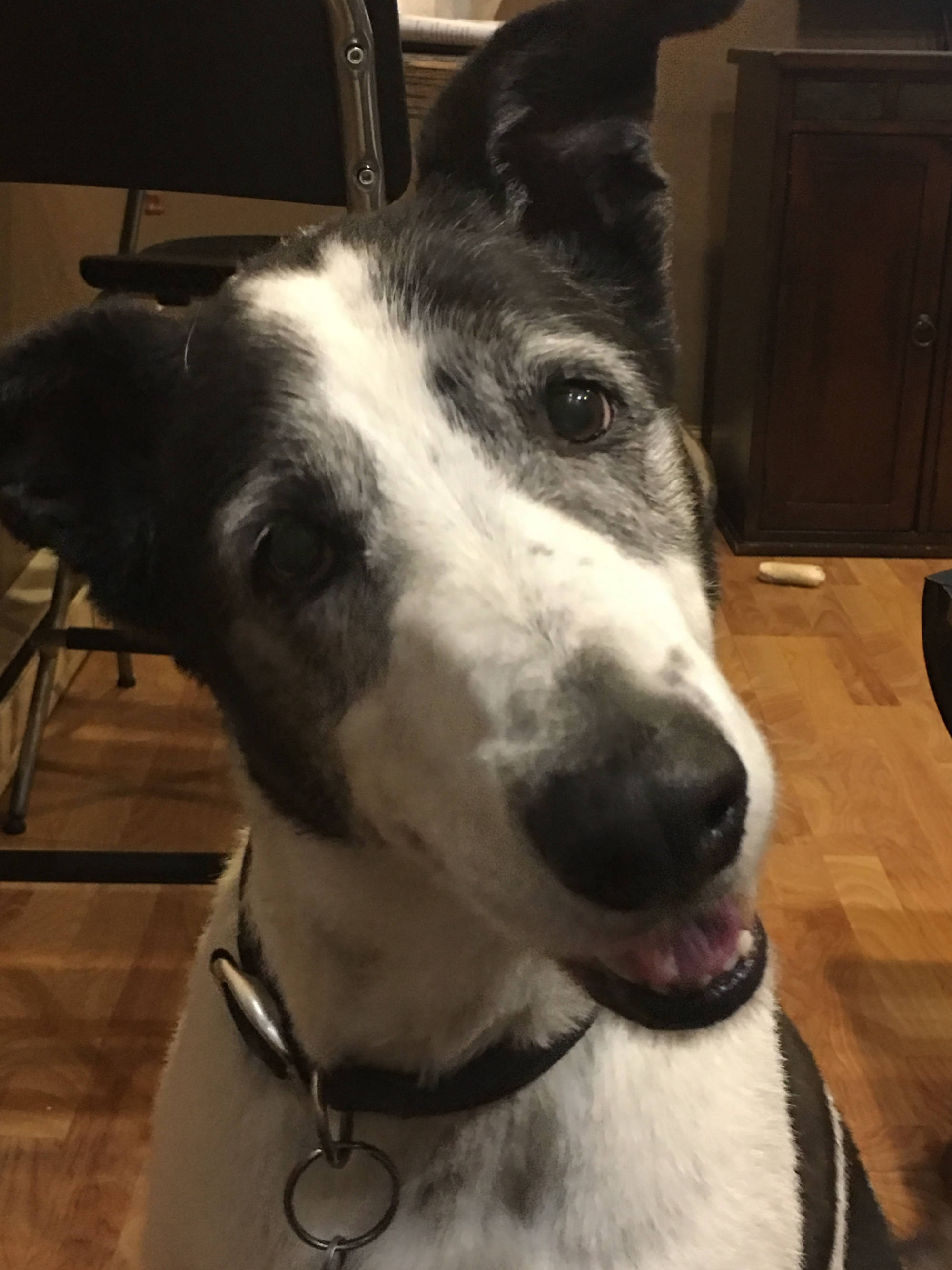 Dakota Ocean Charters