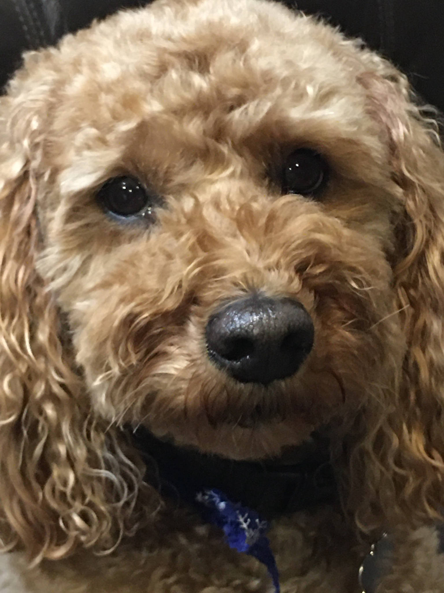 Dakota Ocean Charters