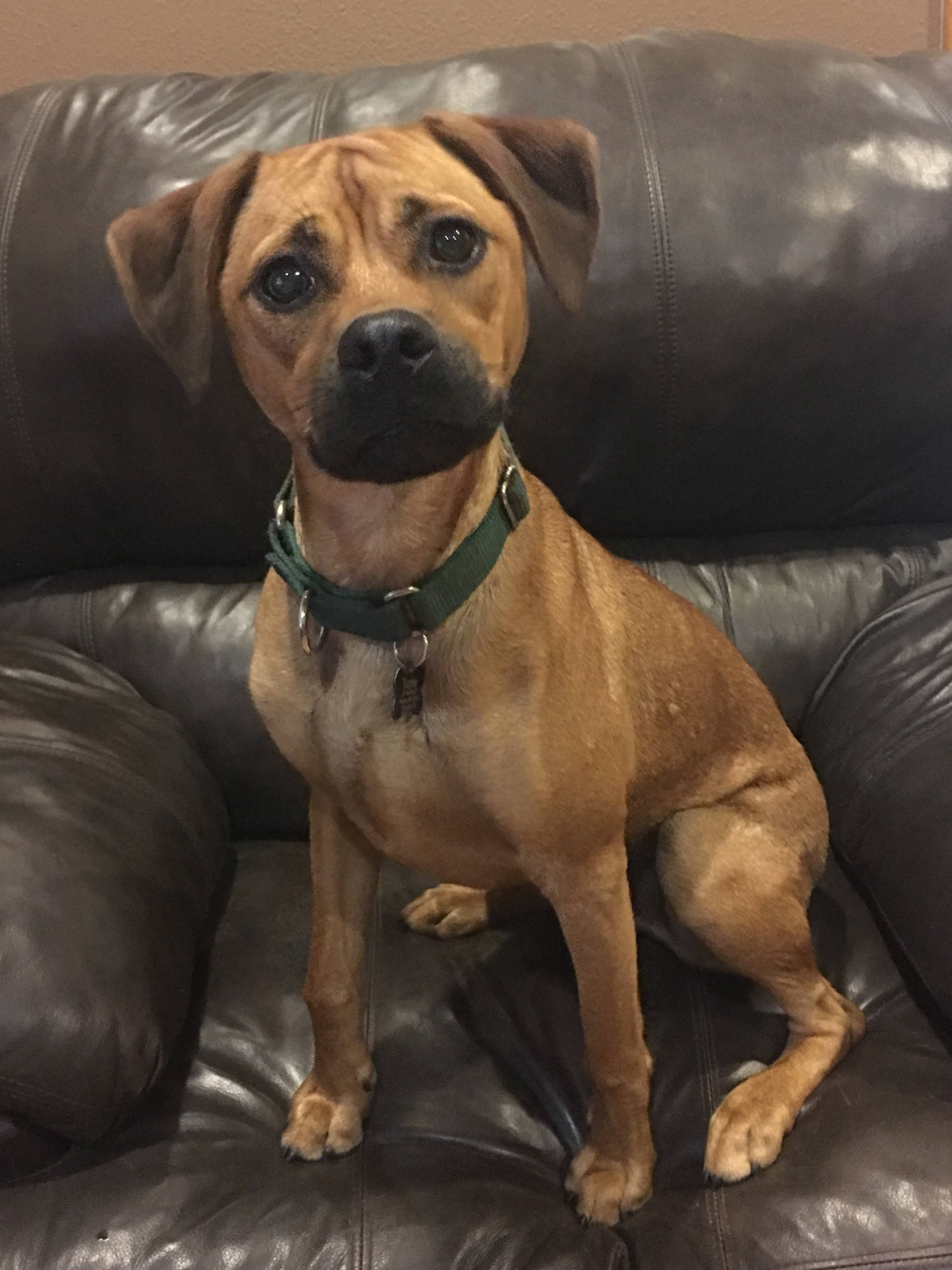 Dakota Ocean Charters