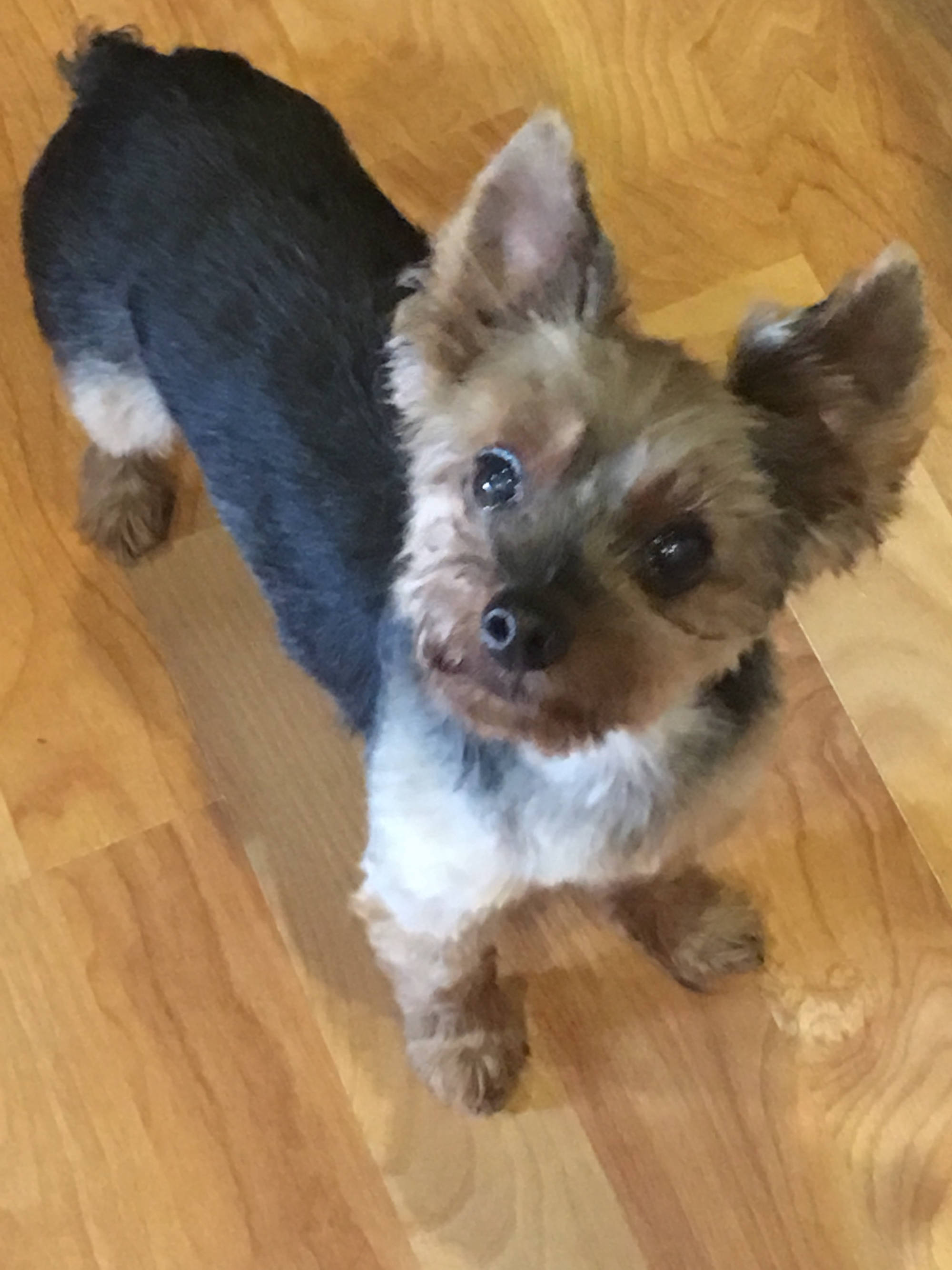 Dakota Ocean Charters