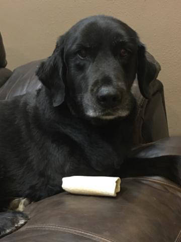 Dakota Ocean Charters