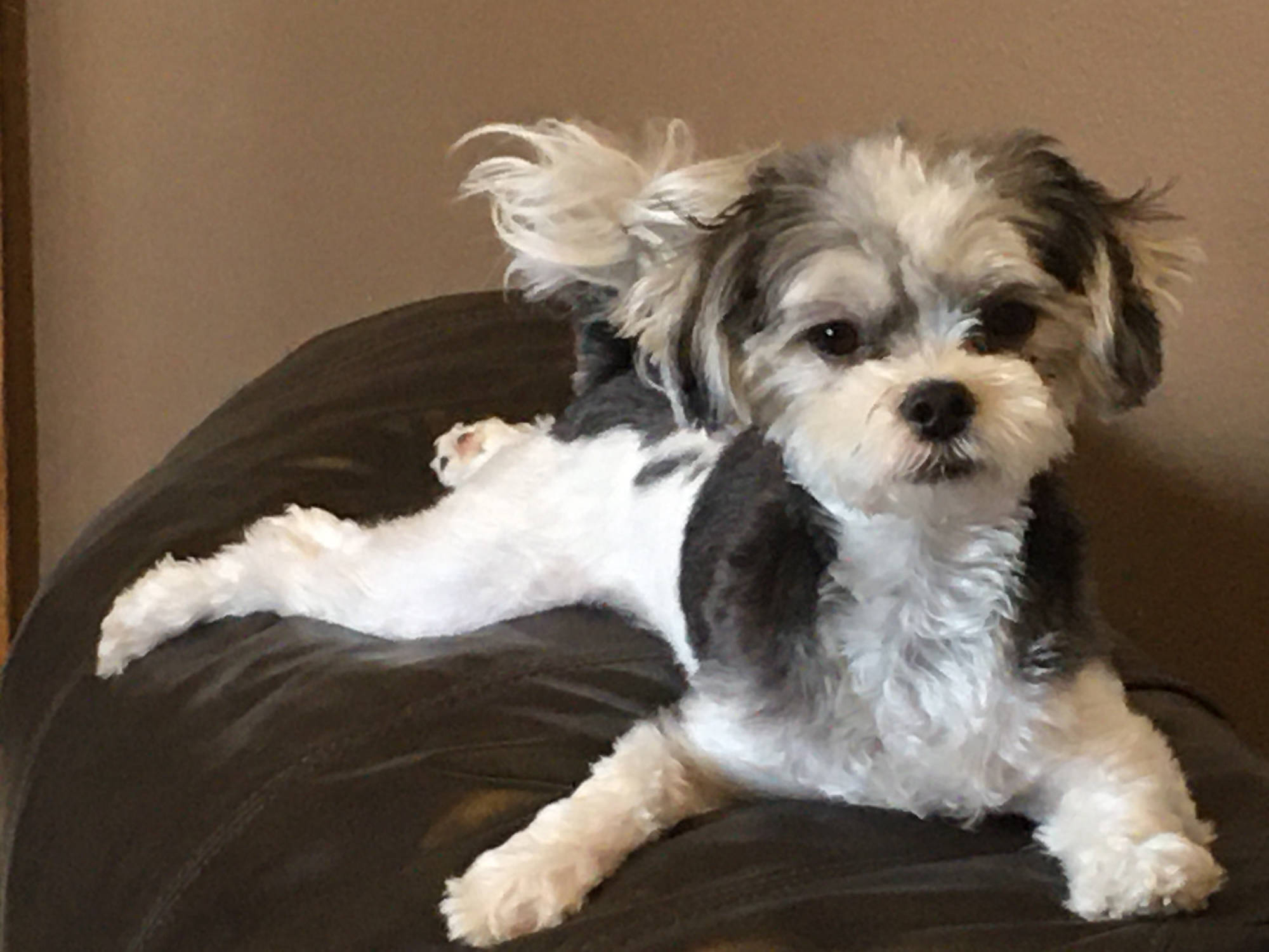 Dakota Ocean Charters